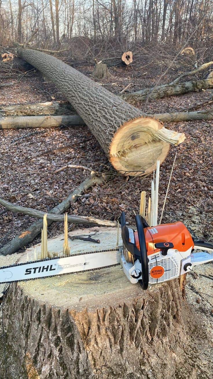 Southeastern Tree Removal team