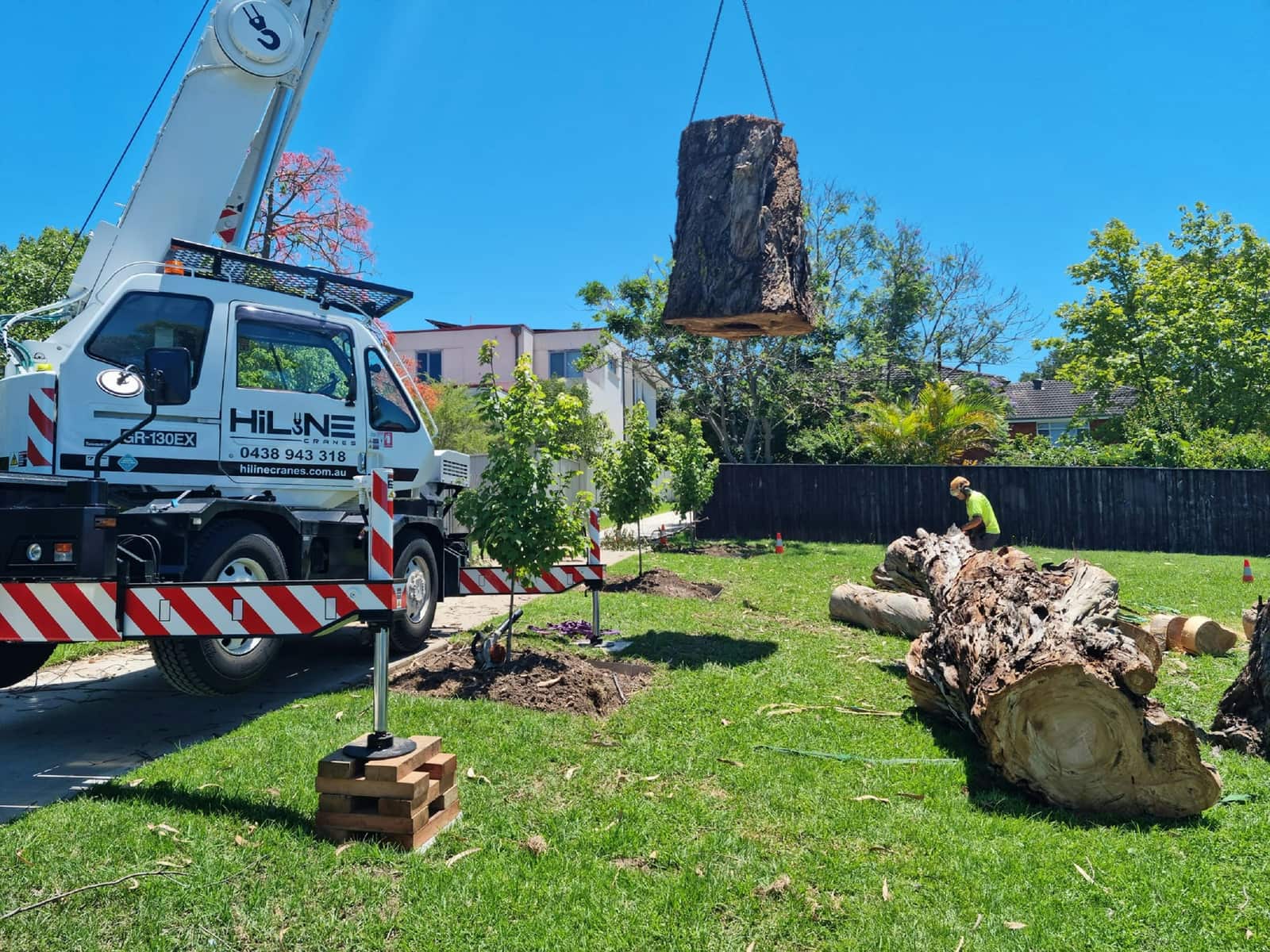 Lot Clearing and Brush Removal service